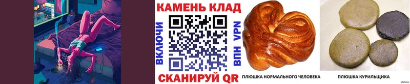 Гашиш гашик продажа наркотиков Кологрив
